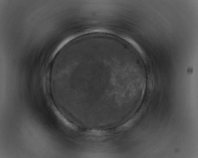 X0000092250910200710051256