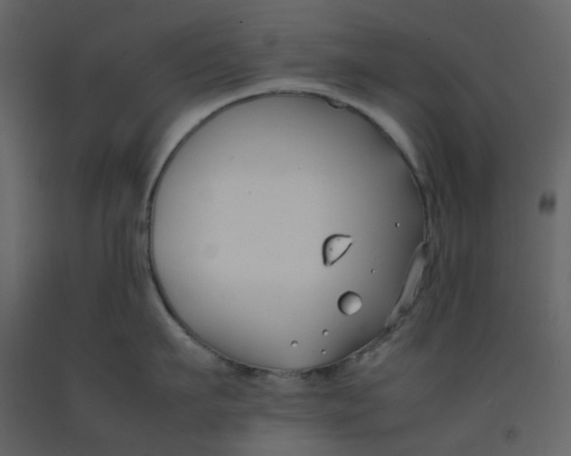 X0000092250911200710051256