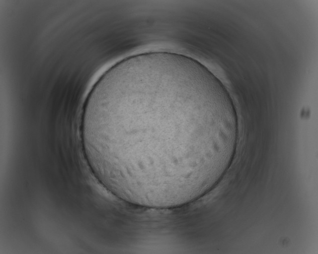 X0000092250912200710051256