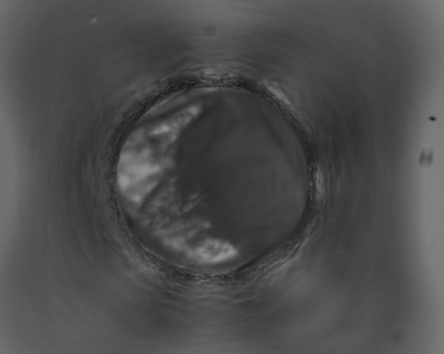 X0000092250913200710051255