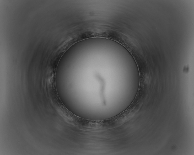 X0000092250914200710051255