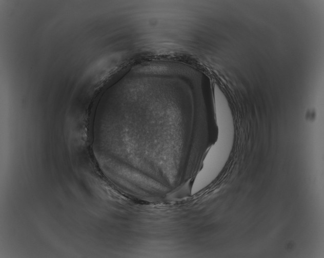 X0000092250916200710051255