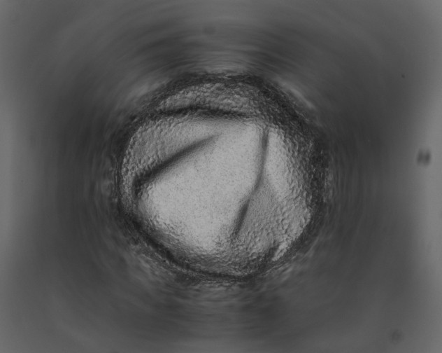 X0000092250917200710051255