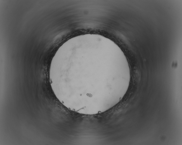 X0000092250918200710051255