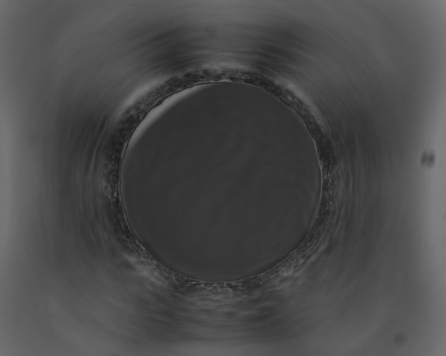 X0000092250919200710051255