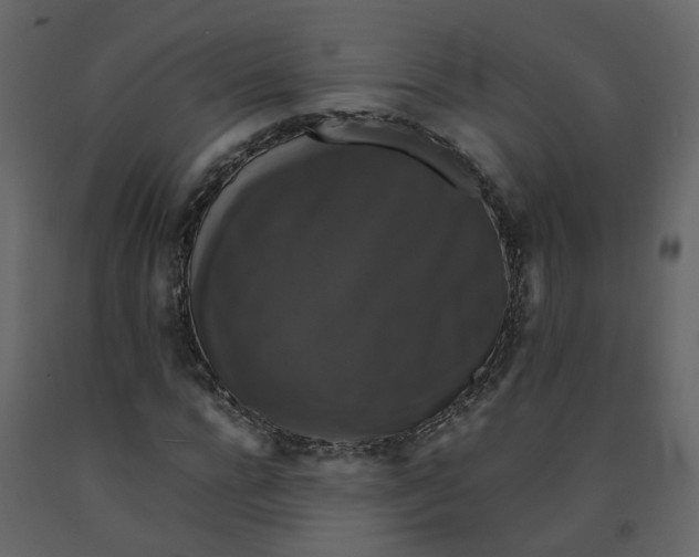 X0000092250920200710051255