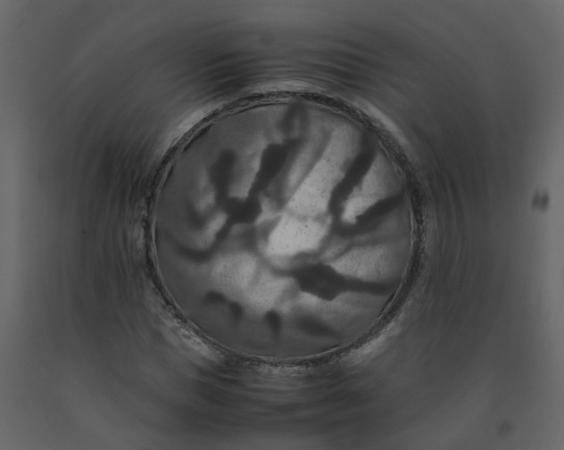 X0000092250921200710051255