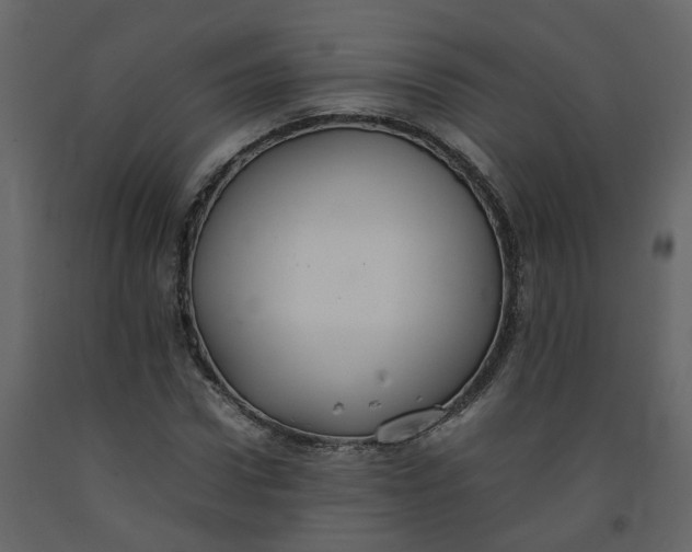 X0000092250922200710051255