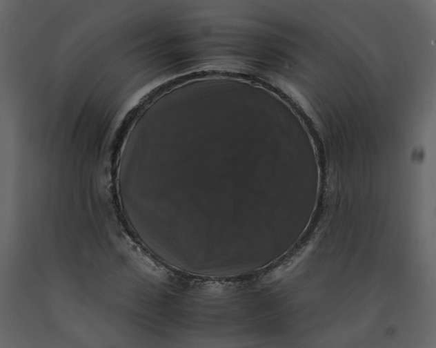 X0000092250923200710051255