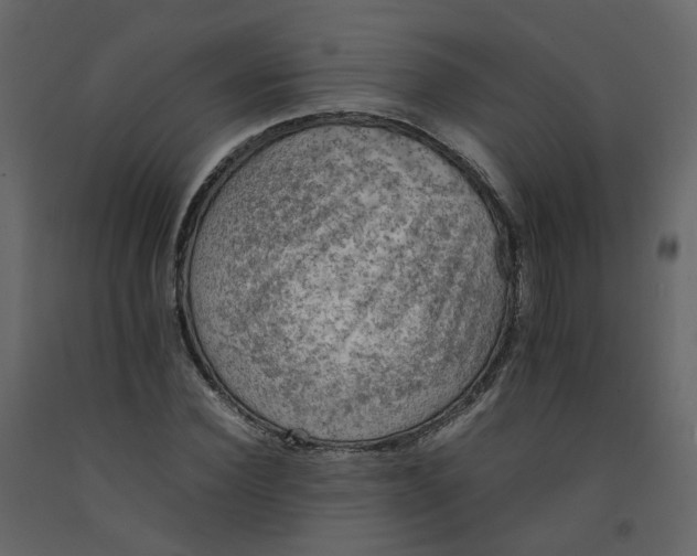 X0000092250924200710051255