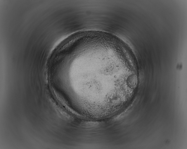 X0000092250925200710051255