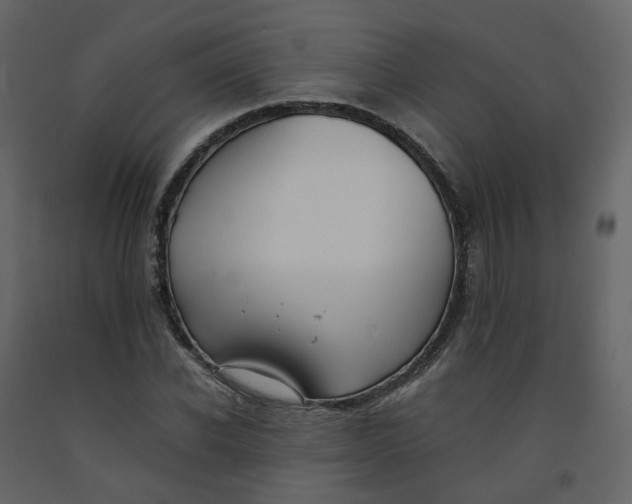 X0000092250926200710051255