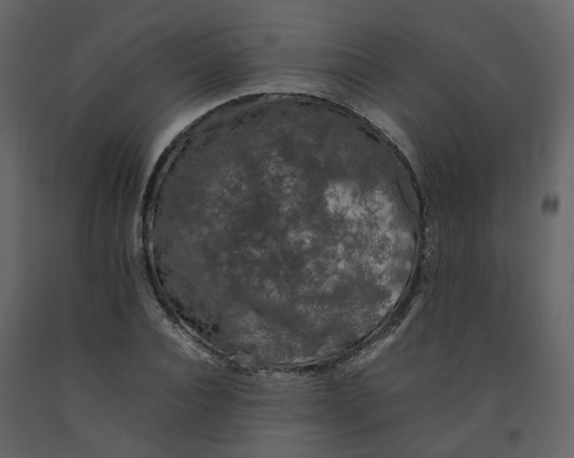 X0000092250928200710051255