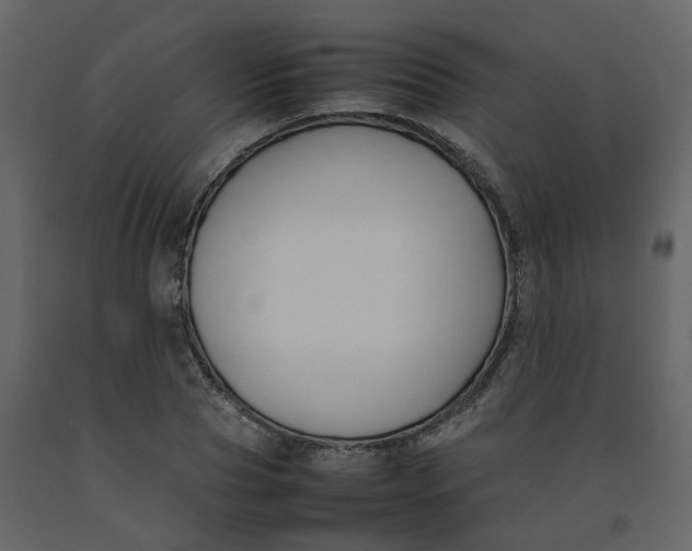 X0000092250929200710051256