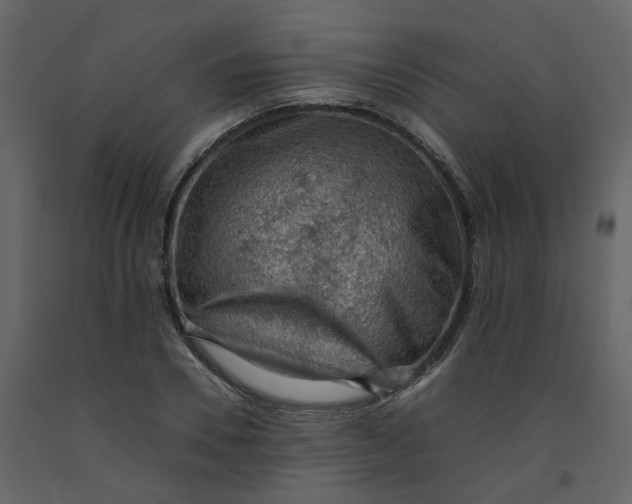 X0000092250930200710051256