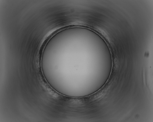 X0000092250931200710051256