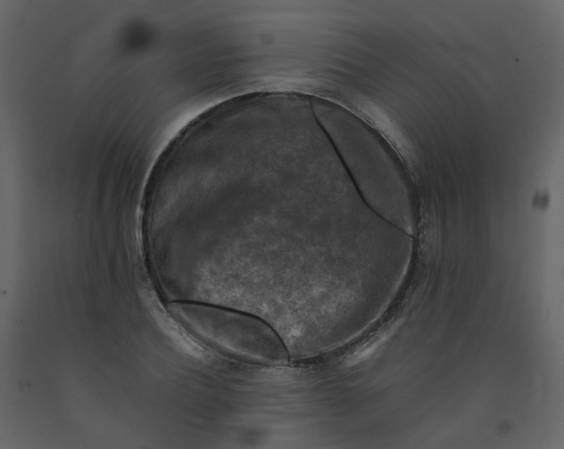 X0000092250932200710051256