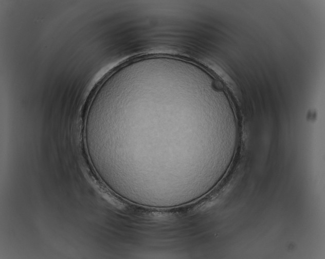 X0000092250933200710051256