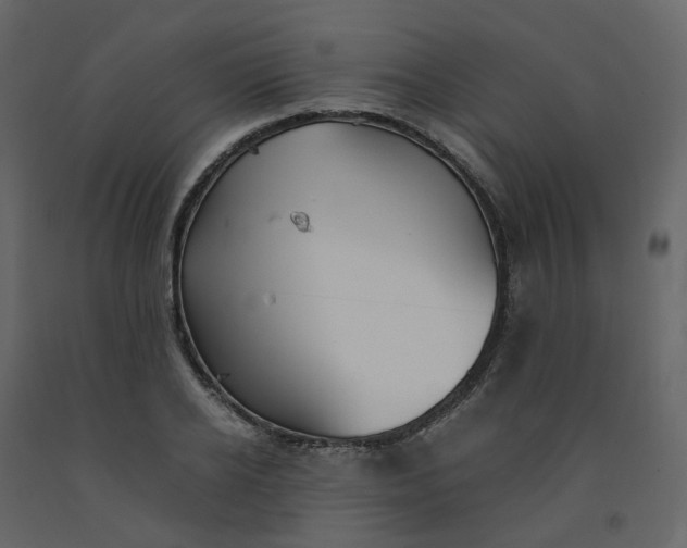 X0000092250934200710051256