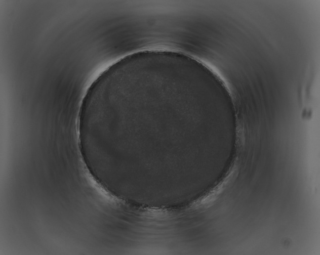 X0000092250935200710051256