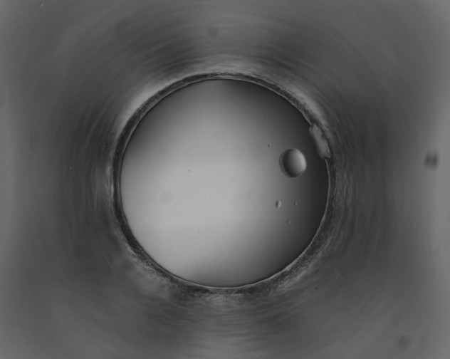 X0000092250936200710051256