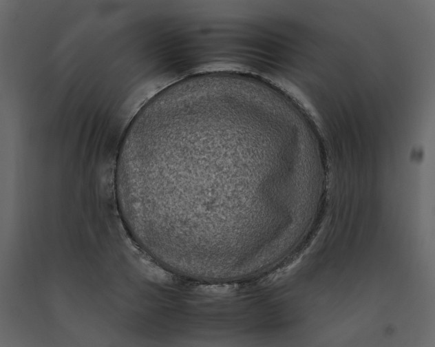 X0000092250937200710051256