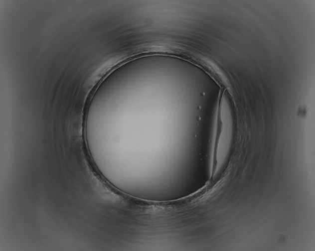 X0000092250938200710051256