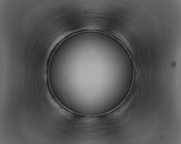 X0000092250939200710051256