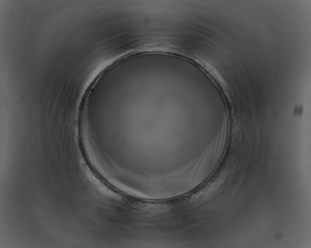 X0000092250941200710051256