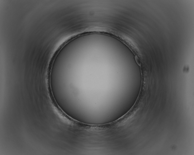 X0000092250942200710051256