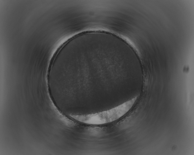 X0000092250943200710051256