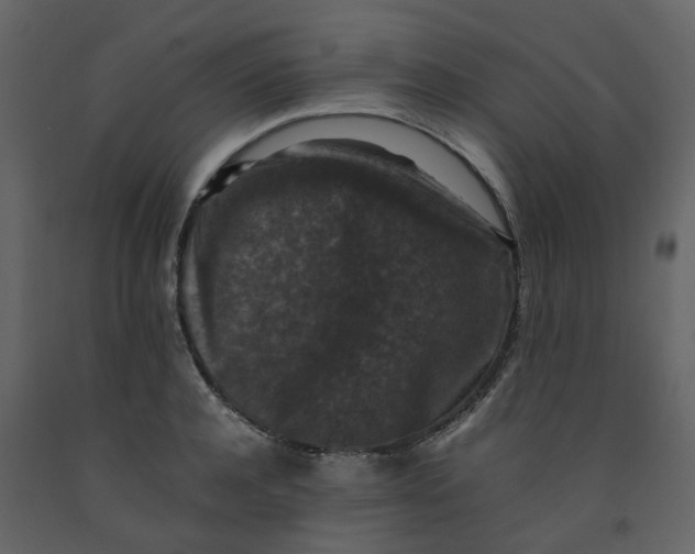 X0000092250944200710051256