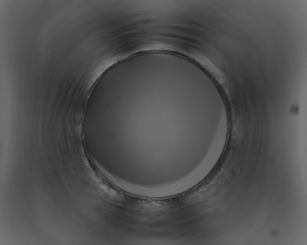 X0000092250945200710051256