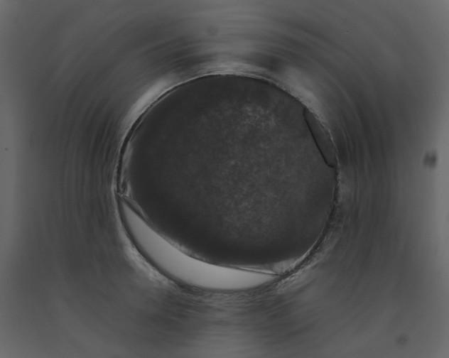 X0000092250946200710051256