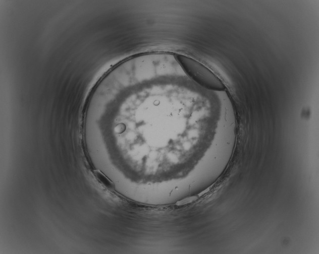 X0000092250948200710051256