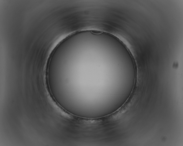 X0000092250949200710051256