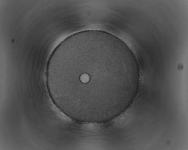 X0000092250950200710051256