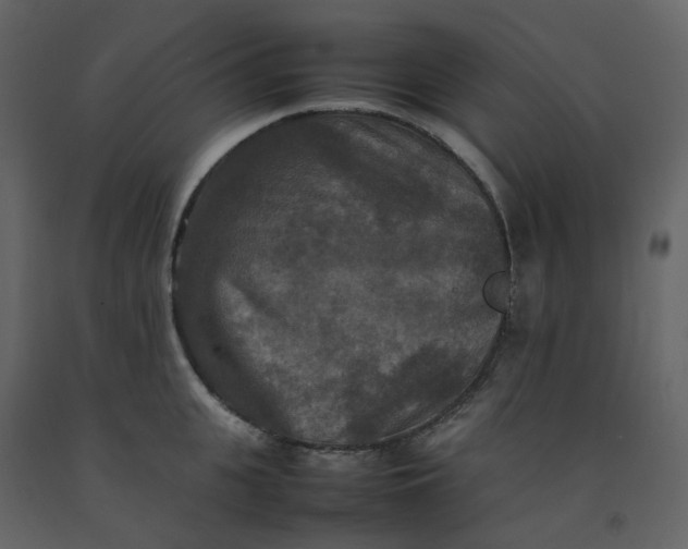 X0000092250951200710051256