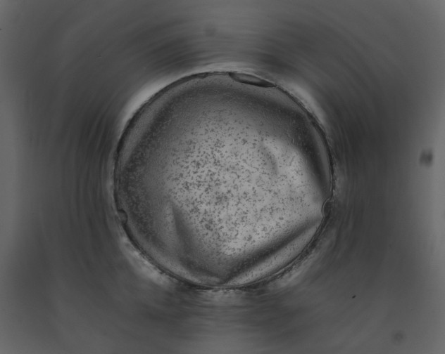 X0000092250952200710051256