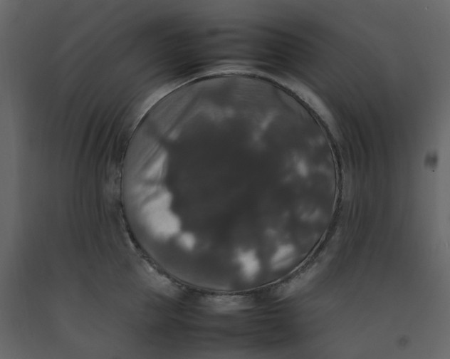 X0000092250953200710051256