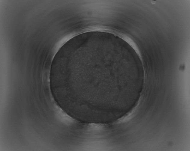 X0000092250954200710051256