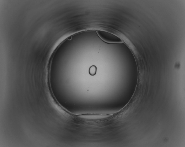 X0000092250955200710051256