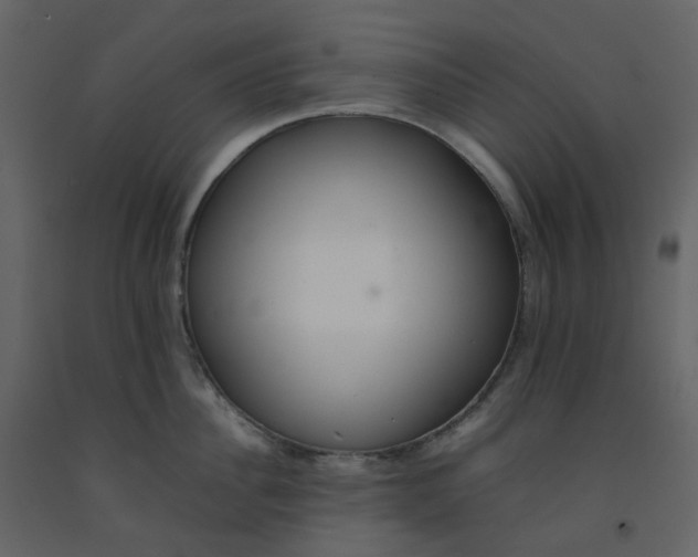 X0000092250956200710051256