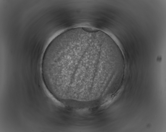 X0000092250957200710051256