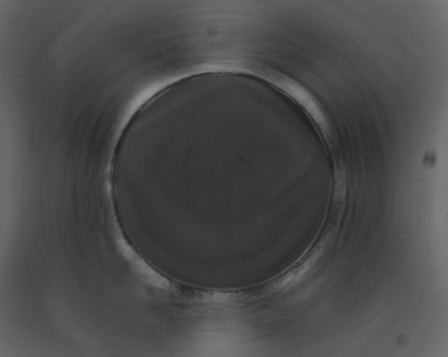 X0000092250958200710051256