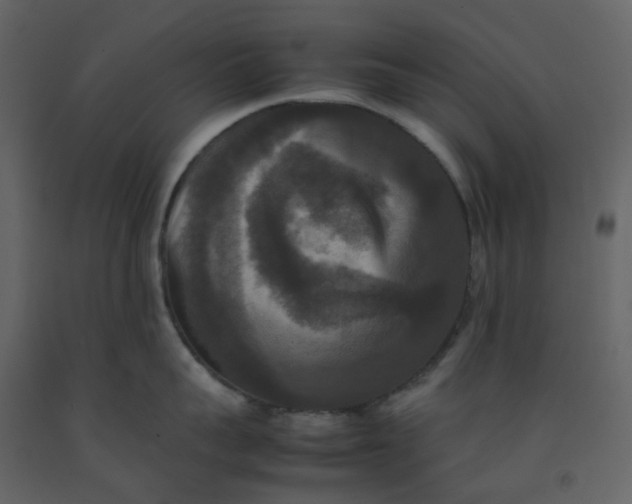 X0000092250959200710051256