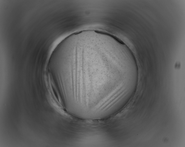 X0000092250960200710051256