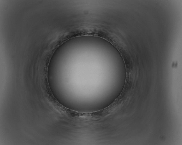 X0000092250961200710051255