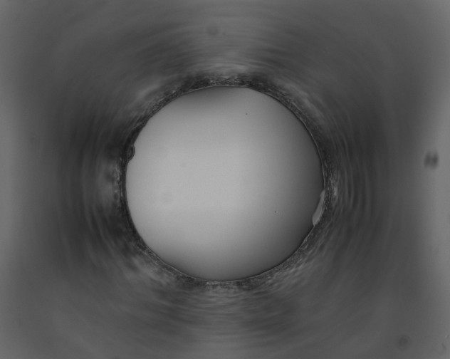 X0000092250964200710051255