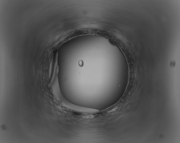 X0000092250965200710051255